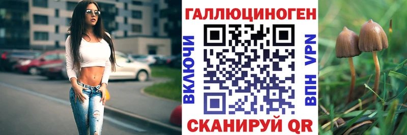 купить   Ковров  Галлюциногенные грибы GOLDEN TEACHER 
